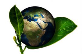 Ley Nº 6.073: Instituto de Crecimiento Verde Global (Paraguay)