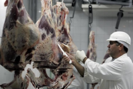 Um novo olhar sobre a crise: porque certificar a produção de carne?