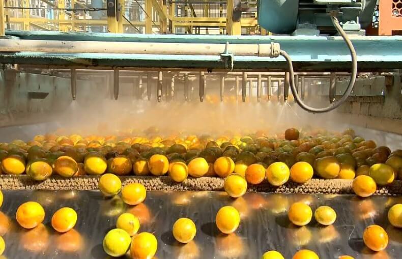 imagem de um fábrica de laranjas - ISO 22000 - Saúde e segurança de alimentos e Segurança Alimentar