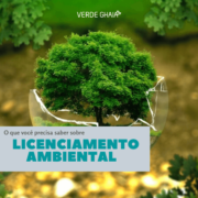 O que você precisa saber sobre Licenciamento Ambiental?