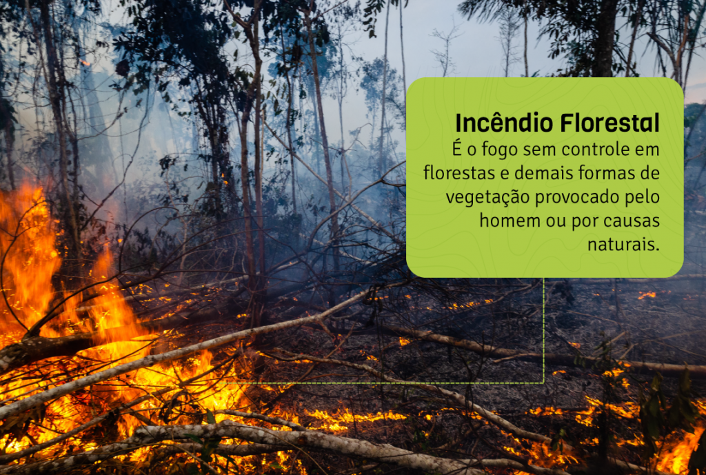 Incêndio Florestal