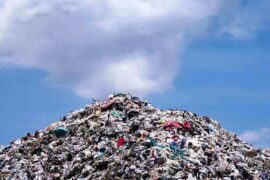 Declaração de Movimentação de Resíduos – DMR, citada na Portaria MMA Nº 280 e em normas estaduais que tratam do MTR