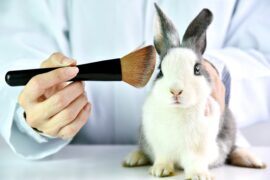 Proibição ao uso de animais em pesquisa e desenvolvimento de produtos de higiene pessoal