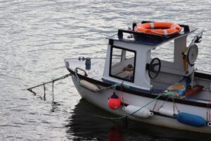 Proibição da pesca de arrasto motorizado no mar territorial costeiro