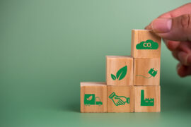 Comissão de Meio Ambiente Aprova Projeto que Regulamenta Mercado de Carbono