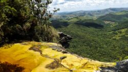 Plano Conservador promoverá restauração da paisagem florestal em Minas Gerais