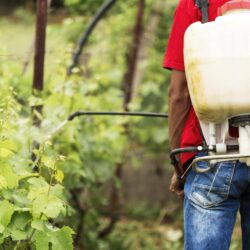 Rastreabilidade de agrotóxicos: Novo Programa Nacional do MAPA