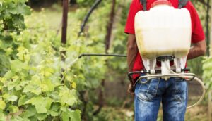 Rastreabilidade de agrotóxicos: Novo Programa Nacional do MAPA