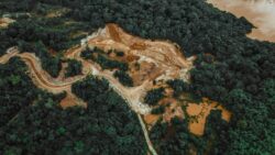 Projeto de Lei Geral do Licenciamento Ambiental e a Lei da Mata Atlântica