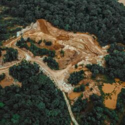 Projeto de Lei Geral do Licenciamento Ambiental e a Lei da Mata Atlântica