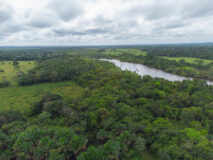 Lei nº 15.190/2025: Sancionada nova Lei Geral de Licenciamento Ambiental