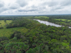 Lei nº 15.190/2025: Sancionada nova Lei Geral de Licenciamento Ambiental