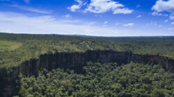 Lei nº 15.228/2025: diretrizes para a gestão sustentável do bioma Pantanal