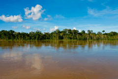 Gestão hídrica: o novo desafio estratégico da sustentabilidade corporativa