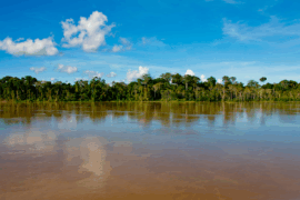 Gestão hídrica: o novo desafio estratégico da sustentabilidade corporativa