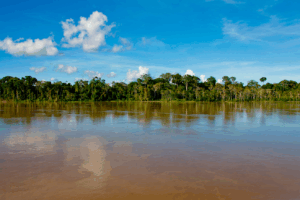 Relatórios recentes do WEF e da ONU-Água colocam a escassez e a má gestão hídrica entre os cinco maiores riscos globais da década.