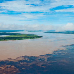 Diretora da Agência Nacional de Águas e Saneamento Básico participou do  14º Congresso Brasileiro de Regulação.