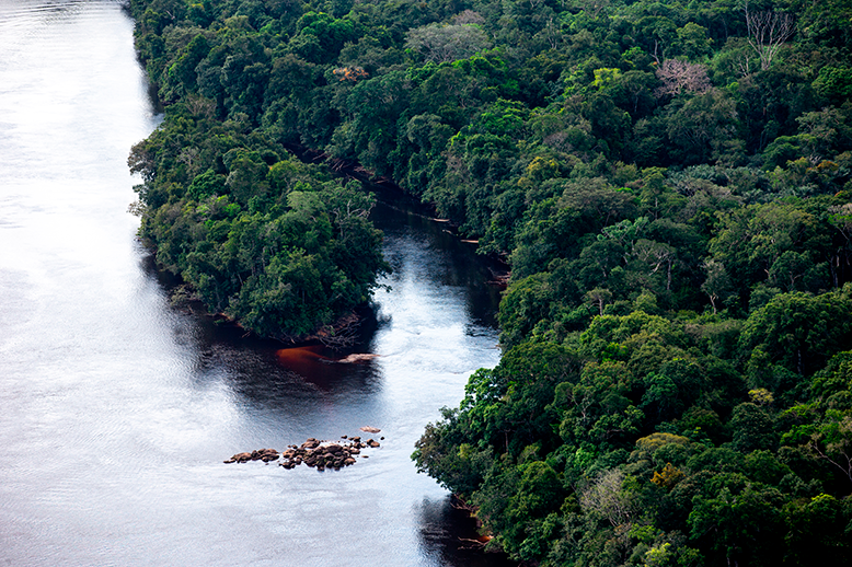 Edital prevê a compra de créditos de carbono originados a partir de projetos de restauração da Floresta Amazônica.